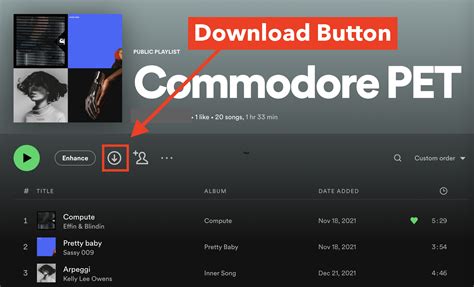 How to Download Music from iPhone to Computer: A Detailed Guide with Multiple Views