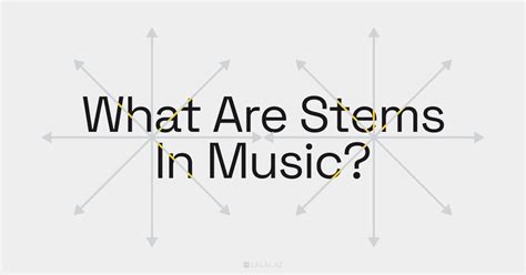 Stems Music Meaning: Exploring the Layers of Interpretation